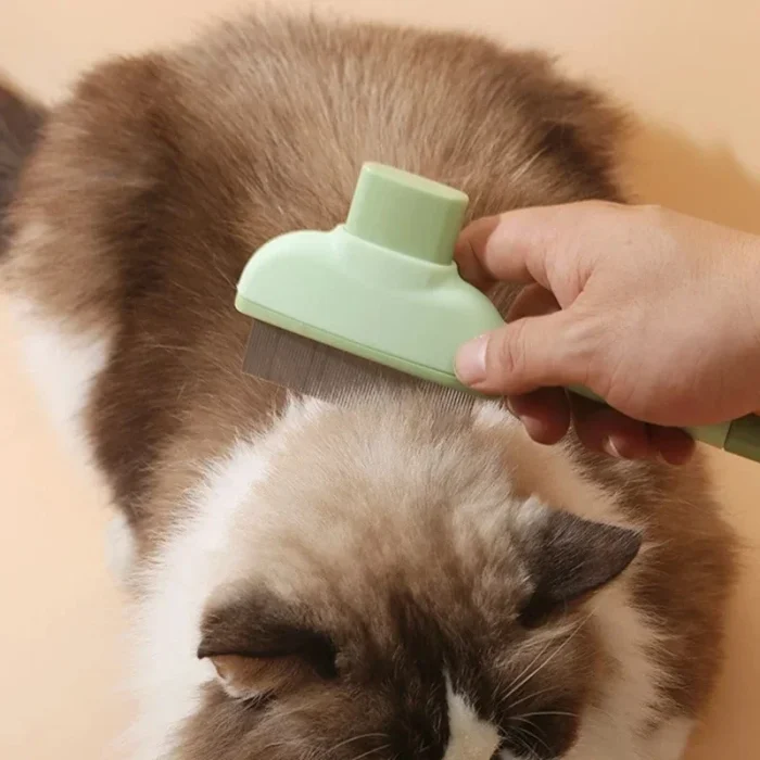 Steam Cat Brush - Gentle Grooming Your Pet Actually Enjoys - Image 9