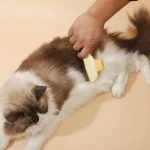 Steam Cat Brush - Gentle Grooming Your Pet Actually Enjoys - Image 11